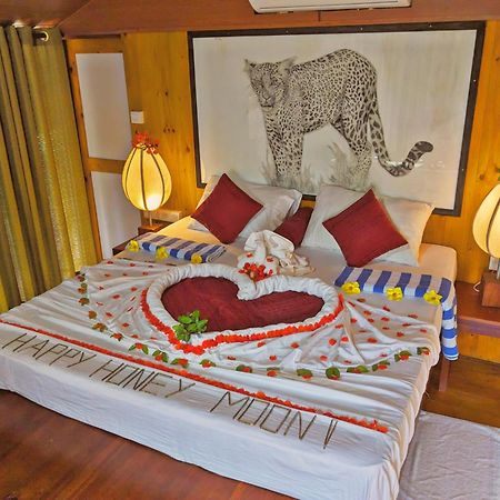 Yala Hotel Lion -Air Conditioned High Luxury Safari Camp Kültér fotó