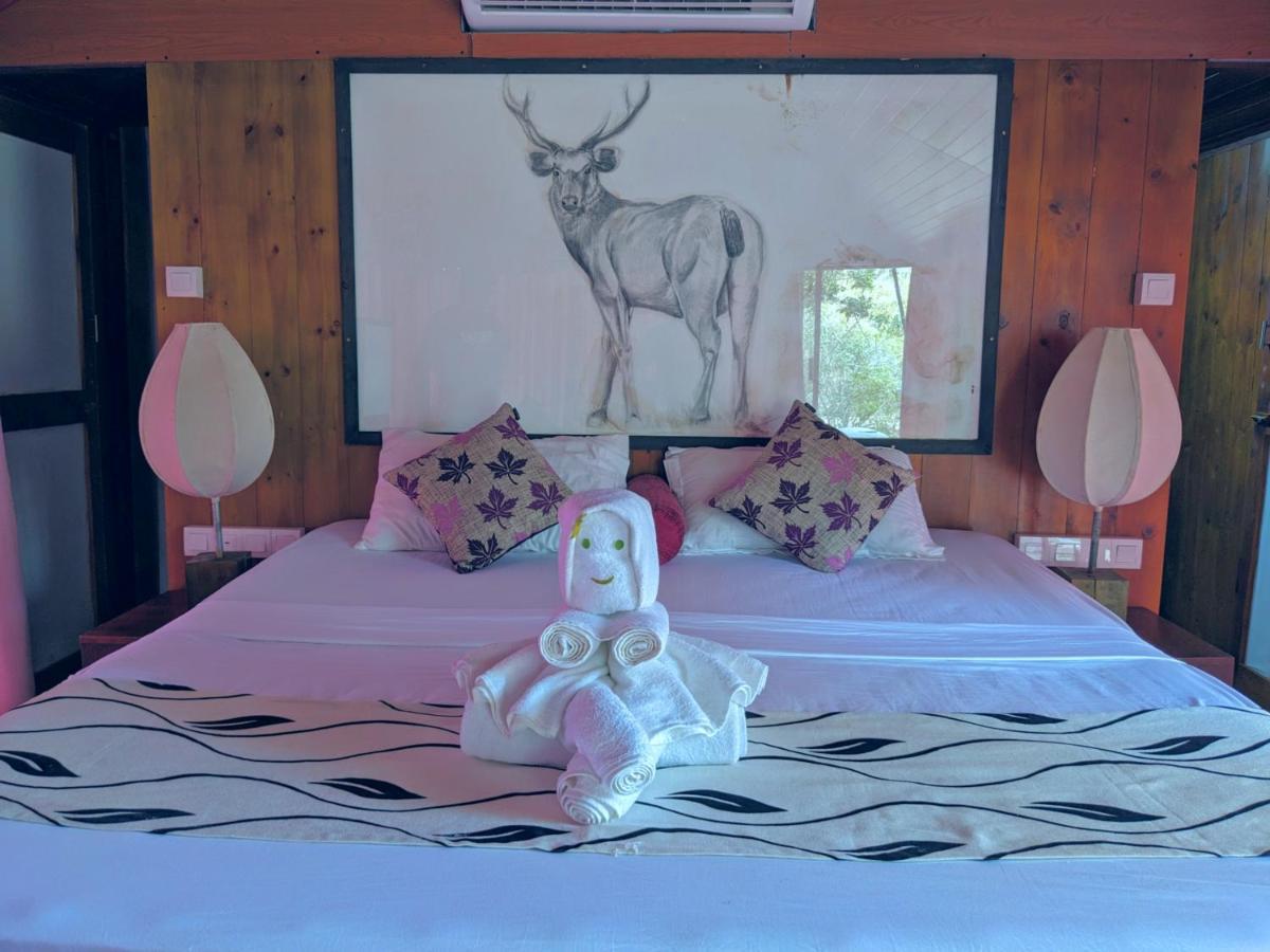 Yala Hotel Lion -Air Conditioned High Luxury Safari Camp Kültér fotó