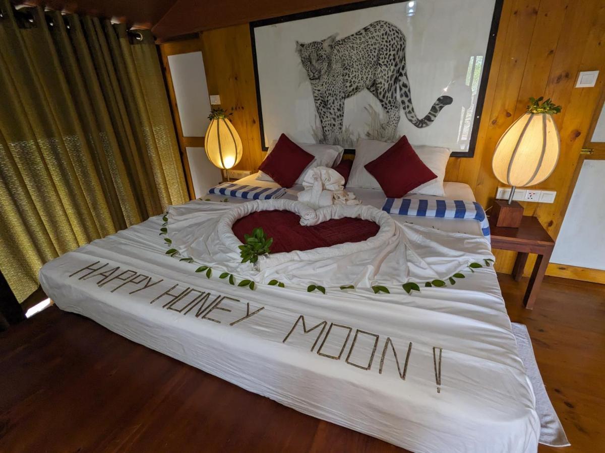 Yala Hotel Lion -Air Conditioned High Luxury Safari Camp Kültér fotó
