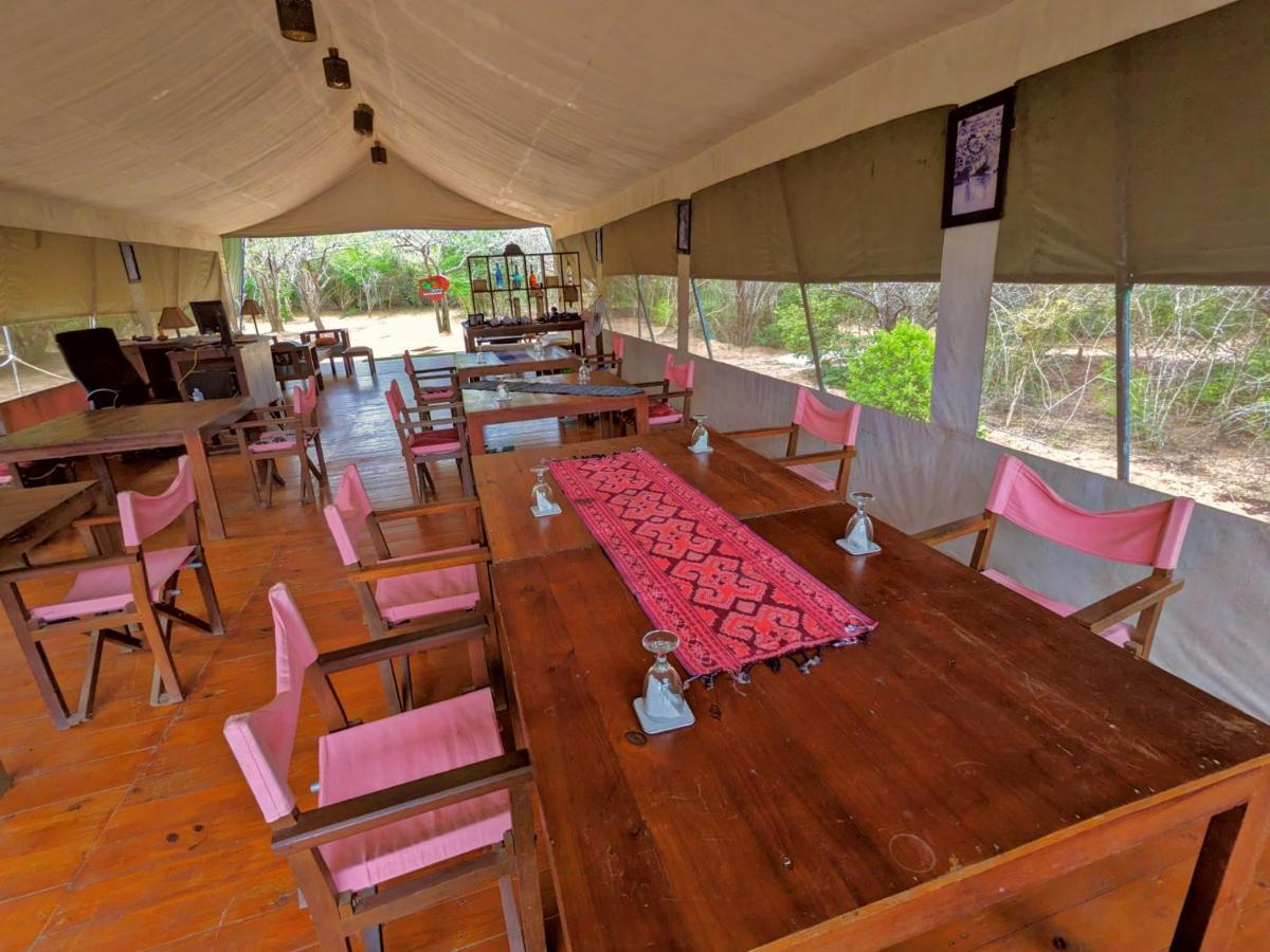 Yala Hotel Lion -Air Conditioned High Luxury Safari Camp Kültér fotó