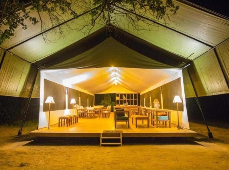 Yala Hotel Lion -Air Conditioned High Luxury Safari Camp Kültér fotó