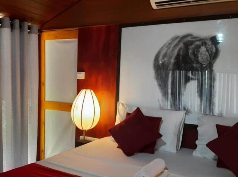 Yala Hotel Lion -Air Conditioned High Luxury Safari Camp Kültér fotó