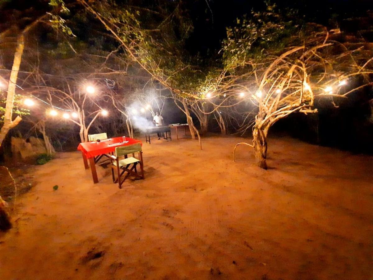 Yala Hotel Lion -Air Conditioned High Luxury Safari Camp Kültér fotó