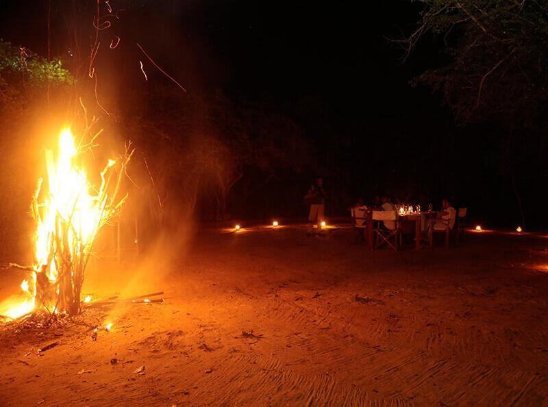 Yala Hotel Lion -Air Conditioned High Luxury Safari Camp Kültér fotó