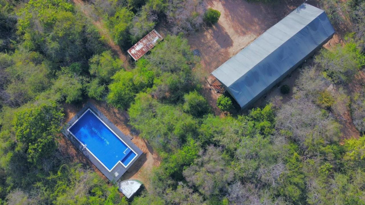 Yala Hotel Lion -Air Conditioned High Luxury Safari Camp Kültér fotó