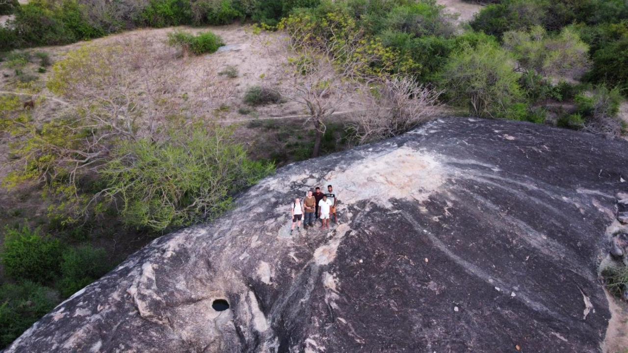 Yala Hotel Lion -Air Conditioned High Luxury Safari Camp Kültér fotó