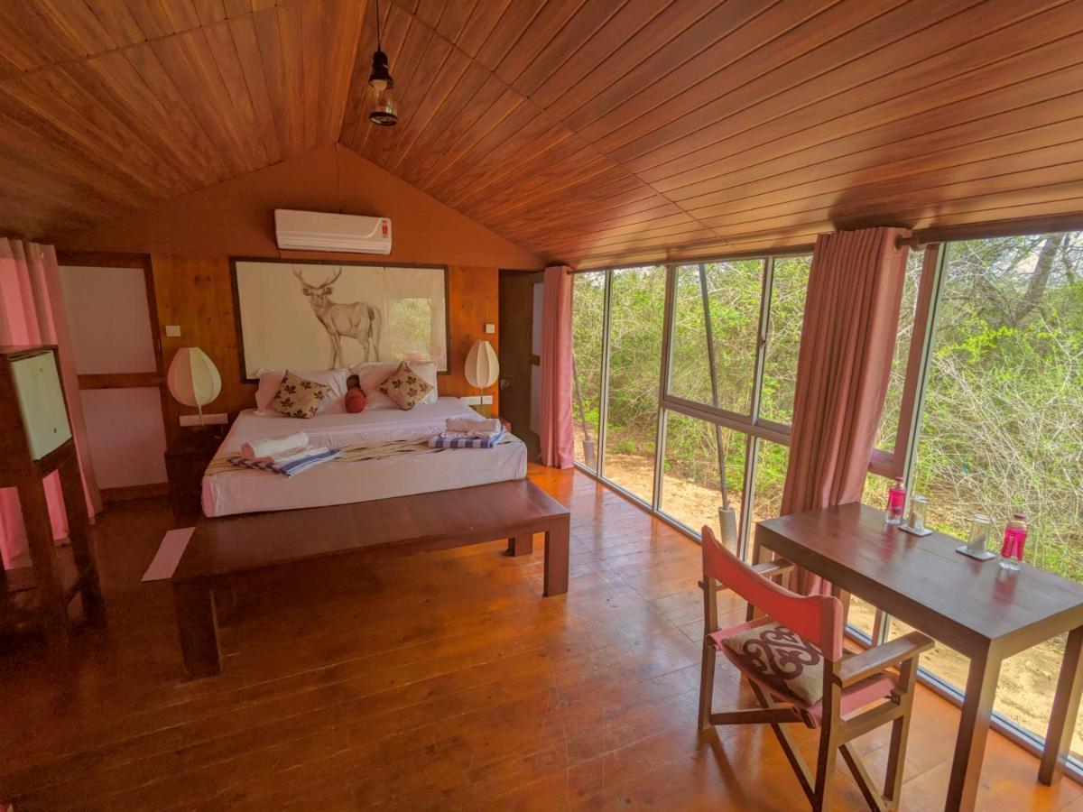 Yala Hotel Lion -Air Conditioned High Luxury Safari Camp Kültér fotó