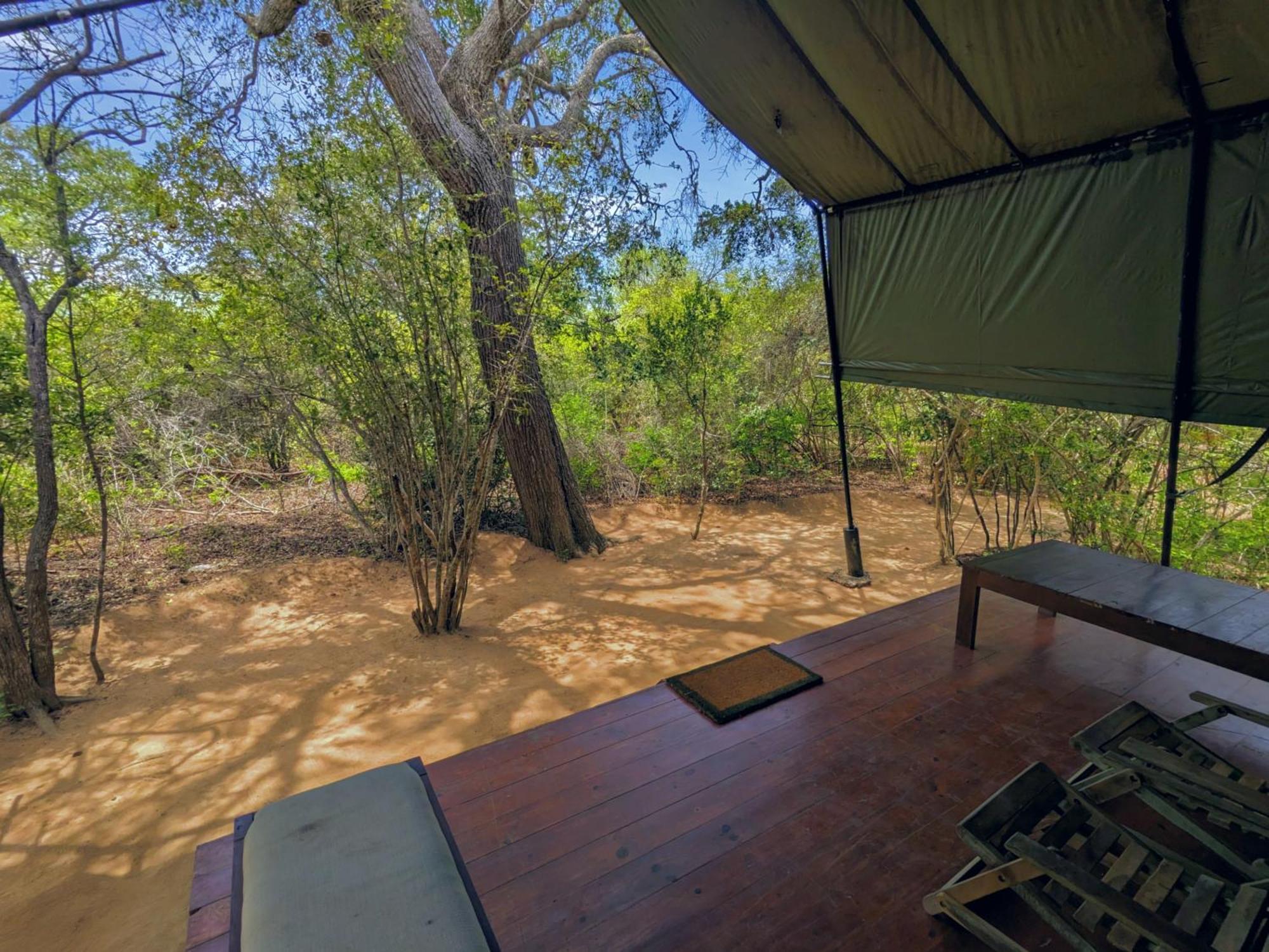 Yala Hotel Lion -Air Conditioned High Luxury Safari Camp Kültér fotó