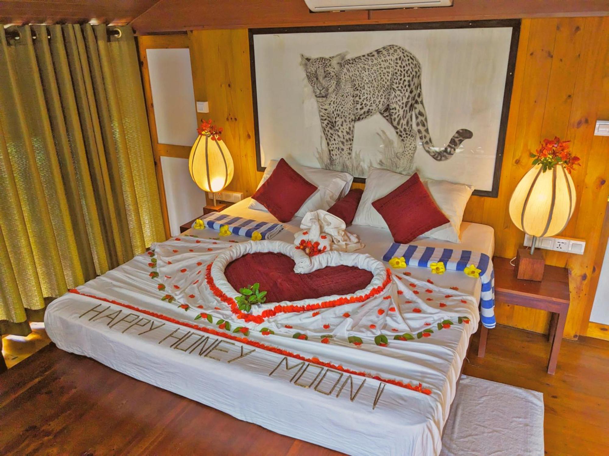 Yala Hotel Lion -Air Conditioned High Luxury Safari Camp Kültér fotó