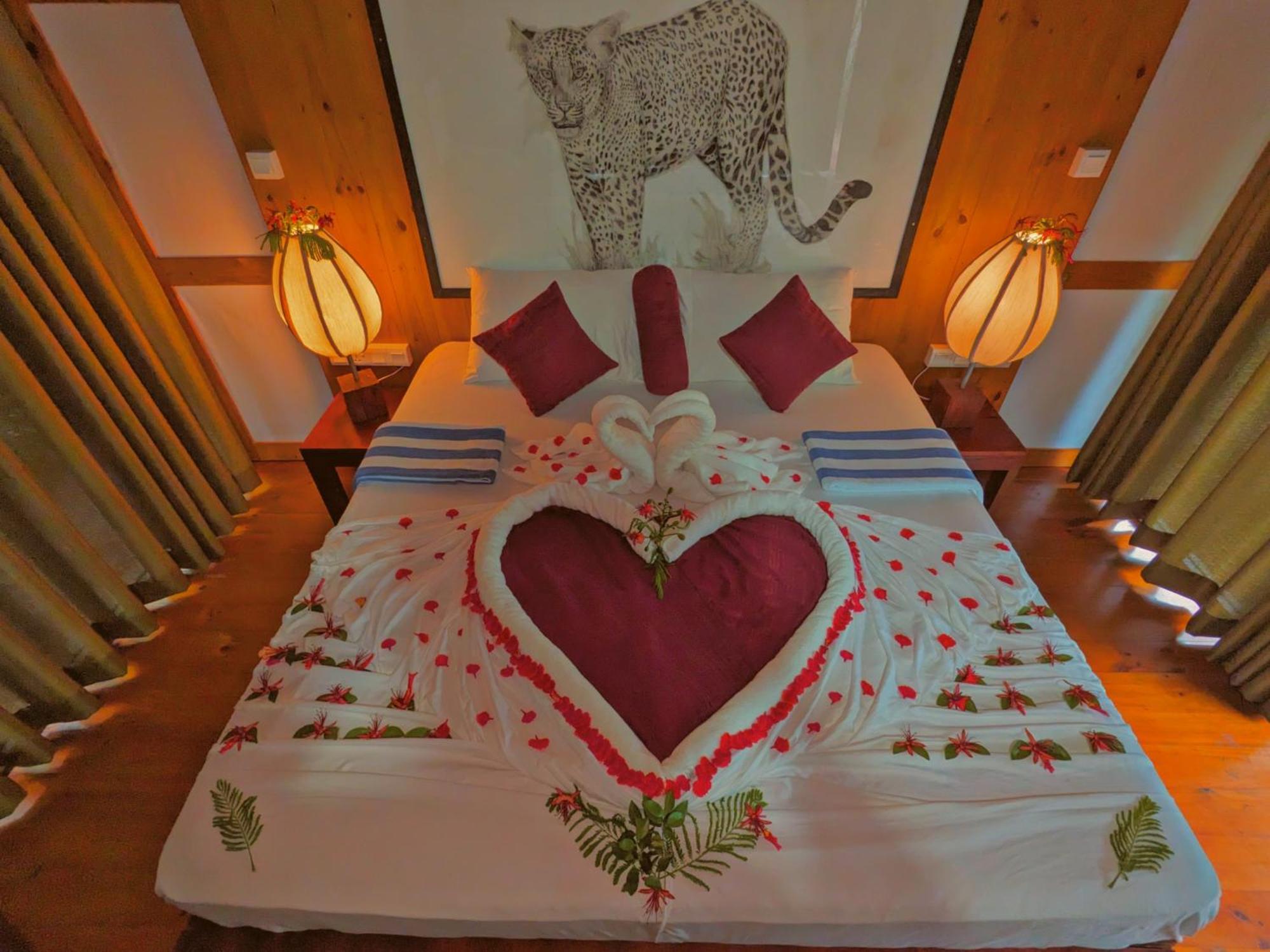 Yala Hotel Lion -Air Conditioned High Luxury Safari Camp Kültér fotó