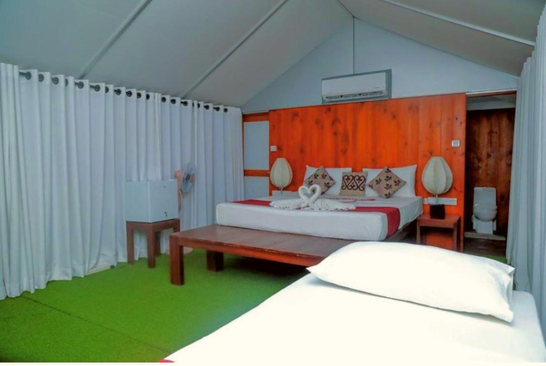 Yala Hotel Lion -Air Conditioned High Luxury Safari Camp Kültér fotó