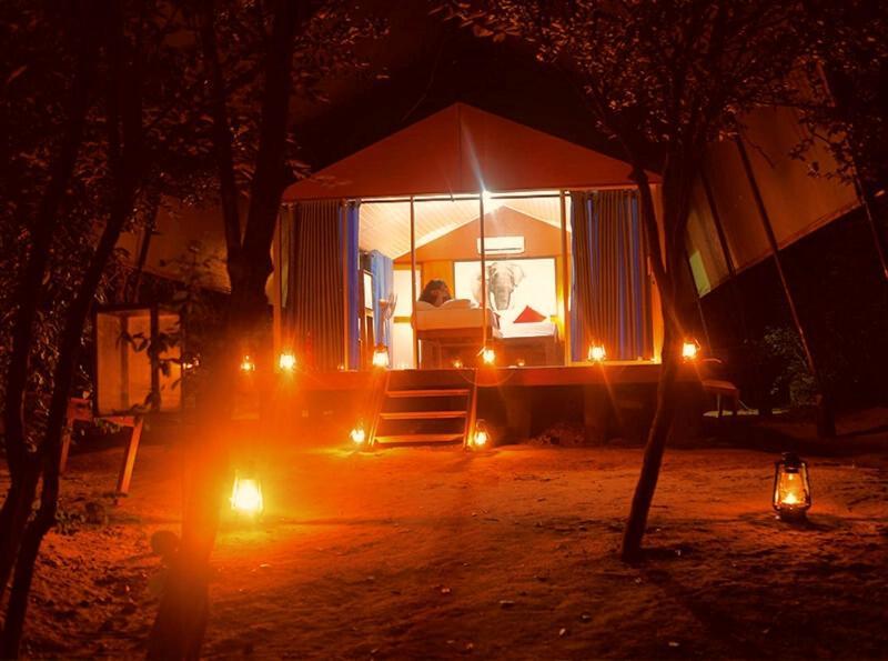 Yala Hotel Lion -Air Conditioned High Luxury Safari Camp Kültér fotó